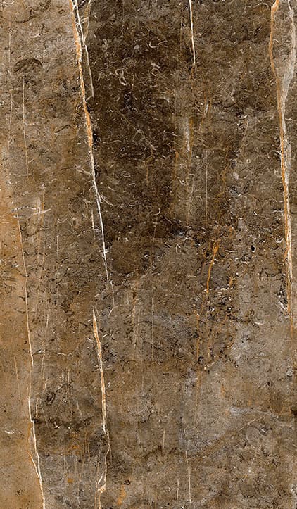 Porcelanato Cabernet Brilhante Touch 